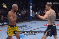 UFC排球伤病报告英雄联盟田径排行榜游泳经典比赛访谈网球战报推荐